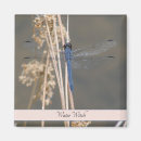 Suche nach libellen magnete Für alle