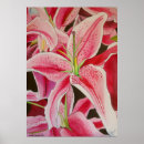 Suche nach stargazer lilie poster Rosa