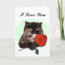 Suche nach flaumig alle karten Katze