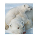 Suche nach eisbär notizblock Für alle