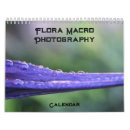 Suche nach flora kalender Blume