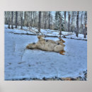 Suche nach schnee poster Winterszene
