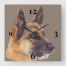 Suche nach german wanduhren German shepherd dog