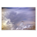 Suche nach natur fotos poster Fotografie