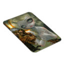 Suche nach rogen magnete Roger