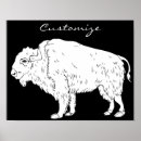 Suche nach weißer bison poster Natur