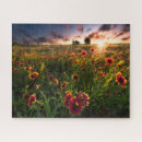 Suche nach indianer puzzle Blume