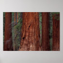 Suche nach northern california poster Usa