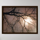Suche nach moonlight poster Vollmond