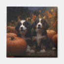 Suche nach berner sennenhund andere magnete Jede person