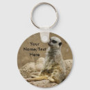 Suche nach meercat Niedlich