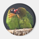 Suche nach lovebird magnete Vogel