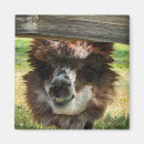Suche nach weird magnete Niedlich