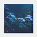 Suche nach aquarium magnete Tropisch
