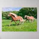 Suche nach cute poster Für kinder