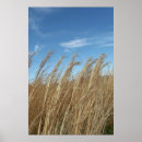 Suche nach weizen poster Himmel