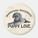 Suche nach rhodesian ridgeback magnete Welpe
