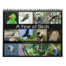Suche nach bunter kalender Vogel