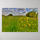 Suche nach bewölkter himmel poster Feld