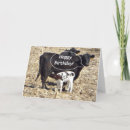 Suche nach funny cow karten Niedlich