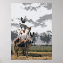 Suche nach lustiger esel poster Tier