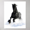 Suche nach friesian horse poster Schwarz