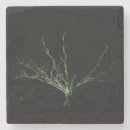 Suche nach eichen untersetzer Natur