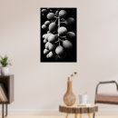 Suche nach trauben poster Weinberge
