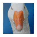 Suche nach geflügel untersetzer Für sie