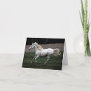 Suche nach laufendes pferd karten Bauernhof