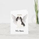 Suche nach cavalier king charles spaniel karten Tricolor