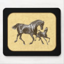 Suche nach colte mousepads Fohlen