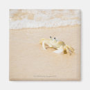 Suche nach brasilien magnete Tierwelt