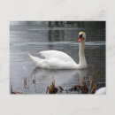 Suche nach sie sind stumm postkarten Schwan