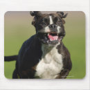 Suche nach tätigkeit mousepads Bewegung