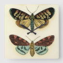 Suche nach butterfly wanduhren Animals