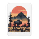 Suche nach büffel magnete Souvenir