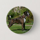 Suche nach pam buttons Boxer