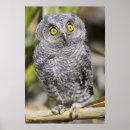 Suche nach babytiere poster Kamera