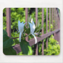 Suche nach garten blume elektronik zubehör Blatt