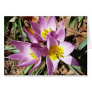 Suche nach rosa krokus karten Krokodile