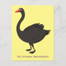 Suche nach schwarzer schwan postkarten Jede person