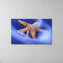 Suche nach blau und beige leinwandbilder Strand