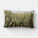 Suche nach weizen kissen Landwirtschaft