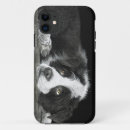 Suche nach border collie iphone hüllen Welpe