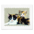 Suche nach lustig katzen kunst Jedes kind