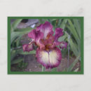 Suche nach innocent postkarten Blume