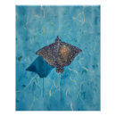 Suche nach ozeane poster Fisch