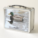 Suche nach enten brotdosen Vogelvogel
