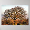 Suche nach windig poster Baum